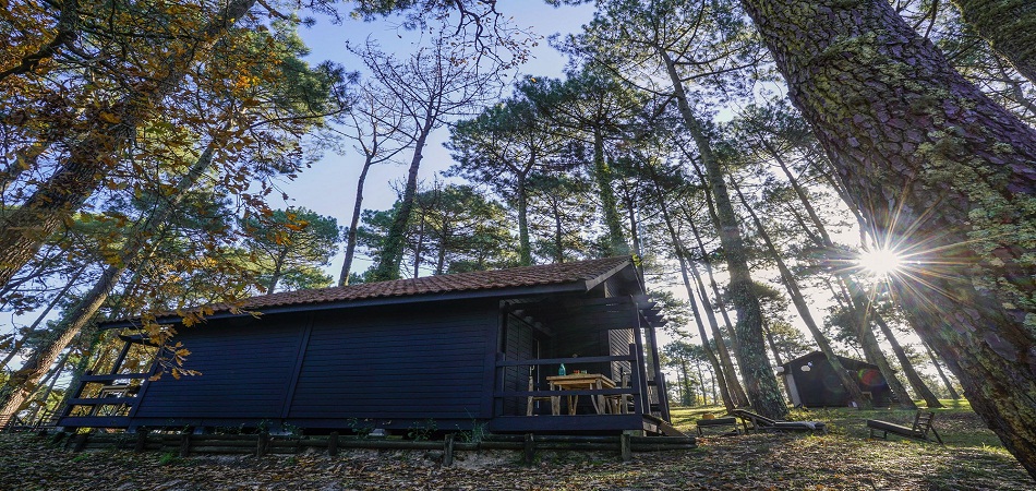 Glamping, canoë… varier les plaisirs du camping dans les Landes