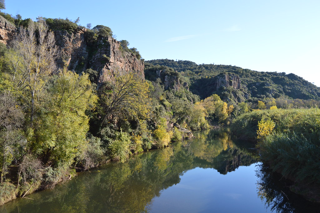 Le Muy, le coin du Var idéal pour le camping