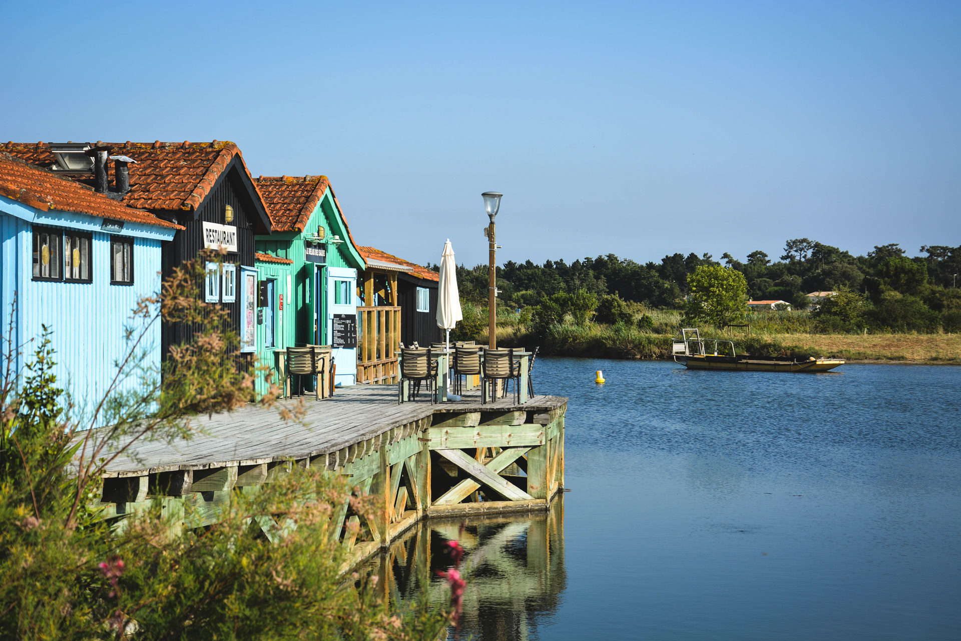 Pourquoi choisir un camping en bord de mer sur l’île d’Oléron ?